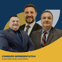 Vereadores definem comissão representativa